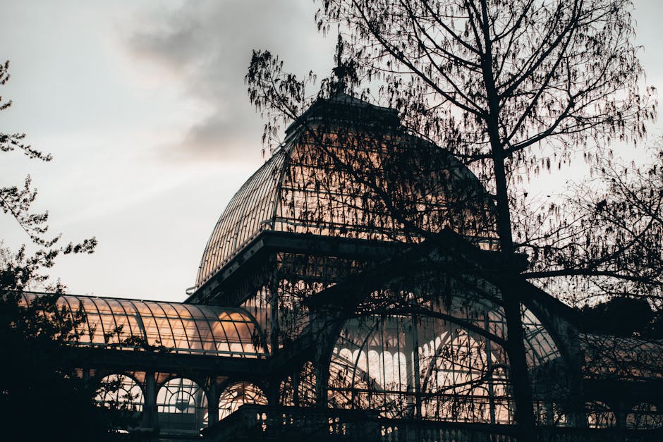 A large, historic glasshouse structure with curved and arched glass panels supported by metal frames, set against a cloudy sky during dusk. The building is partially obscured by the branches of trees with sparse leaves in the foreground. The exterior appears to be illuminated by ambient light, highlighting the intricate framework and multiple levels of the conservatory, which is situated within a park environment. The scene suggests a peaceful outdoor setting associated with a historic or botanical location, relevant to home relocation and furniture transport services provided by Man and a Van Crystal Palace, illustrating the type of environment involved in packing and moving services for property in the Crystal Palace area.